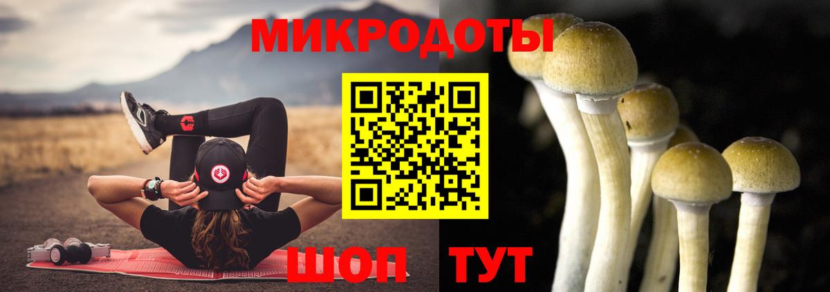 Псилоцибиновые грибы мицелий Ефремов